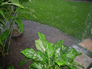 rain, La Ceiba, Honduras