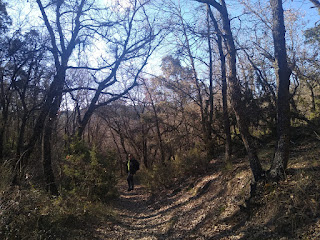 Barranco de la Tejera