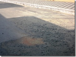 Dezembro 2012 161