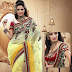 Indian Beautiful Party Wear Sarees Collection 2013 for Women