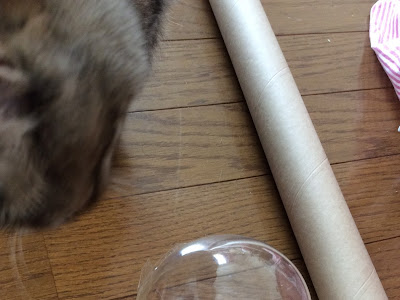 [最も共有された！ √] 猫 おやつ 手作り 230752-猫 おやつ おもちゃ 手作り