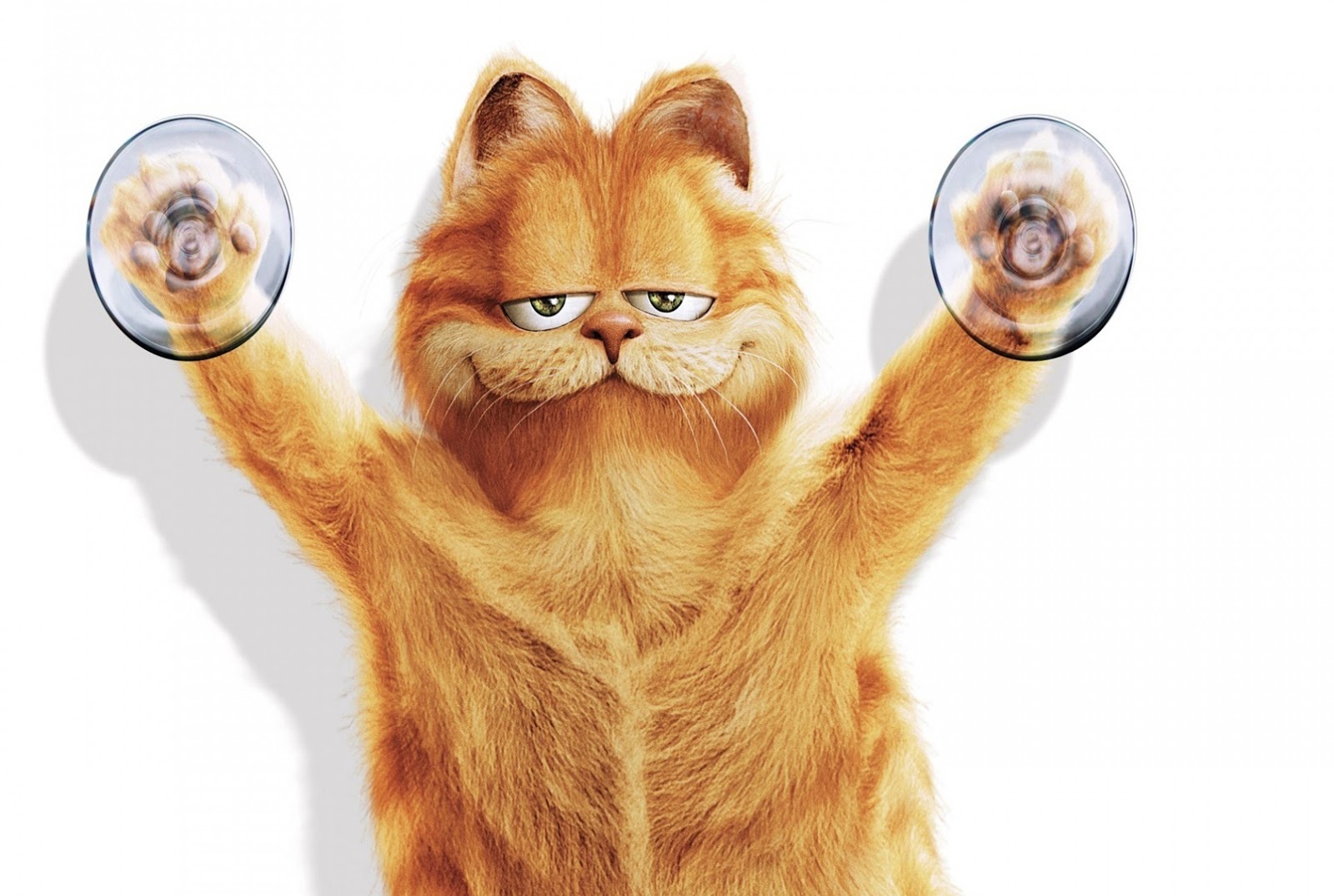 Gambar Kata Kata Lucu Orang Wallpaper Lucu Gambar Kucing Garfield Terbaru 2016