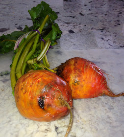 fresh yellow beets with greens