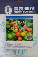 jual benih, tomat, bibit tomat unggul, cap kapal terbang, panah merah, known you seed, toko pertanian, online, lmga agro