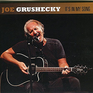 Joe Grushecky's It's In My Song