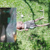 Muere niño electrocutado en Villa Ana Caona de Restauración