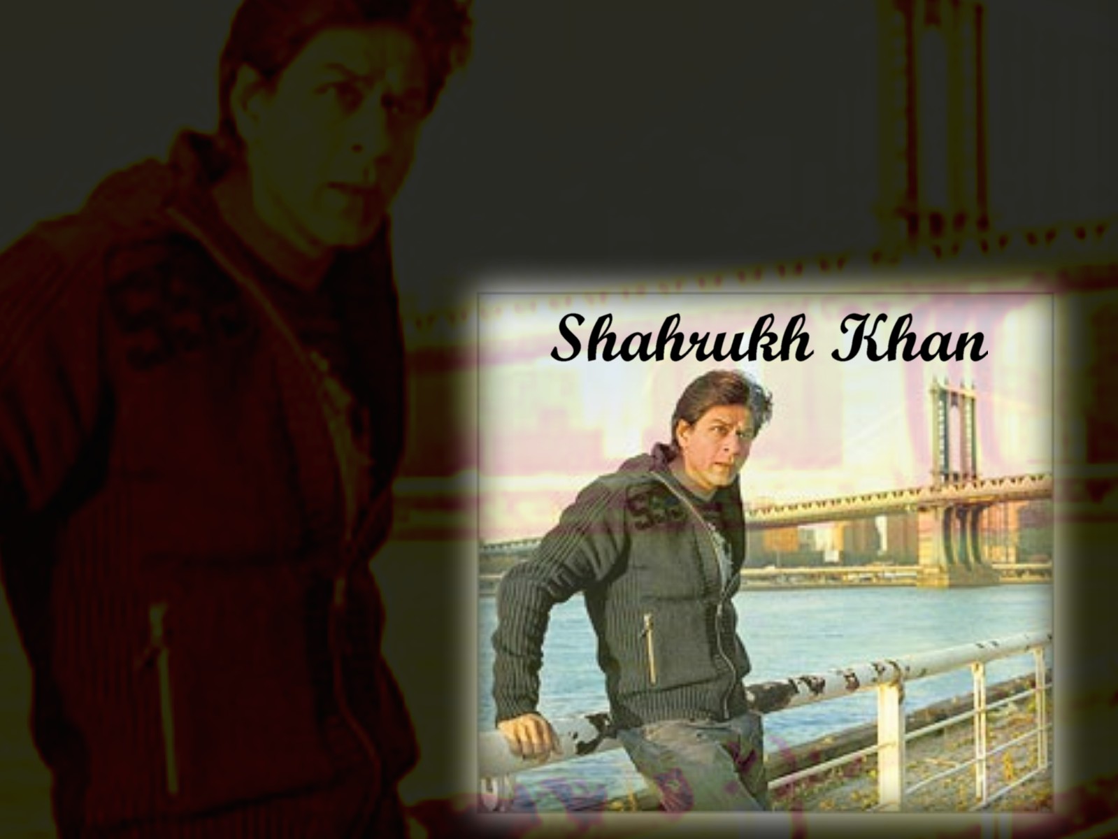 Shahrukh Khan Wallpapers | Celebrity Wallpapers