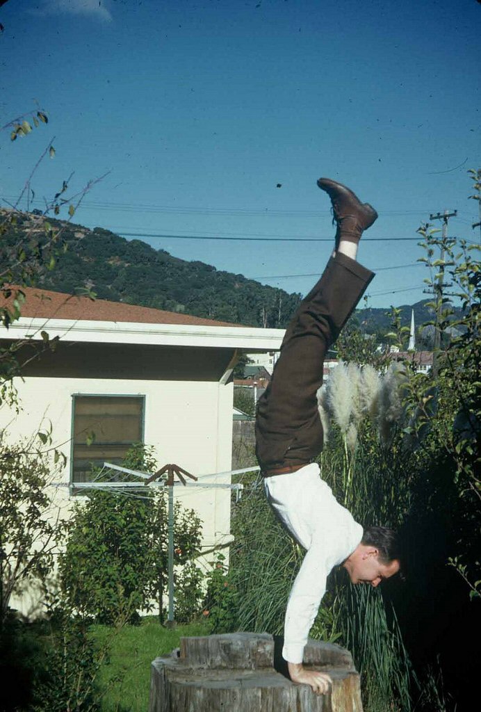 Man On A Stump