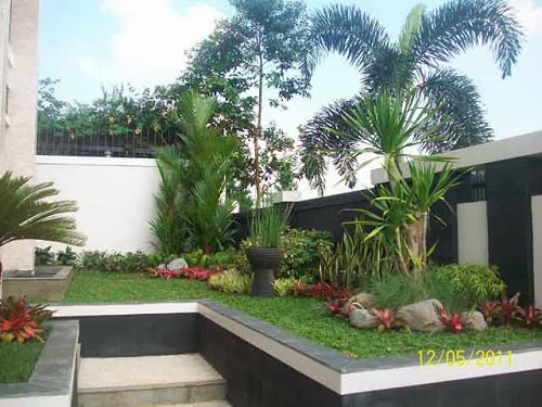 Foto Desain Taman  Rumah  Minimalis  Modern yang Sejuk 