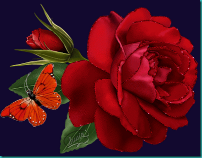 amor san valentin (3)