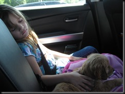 Picture 054