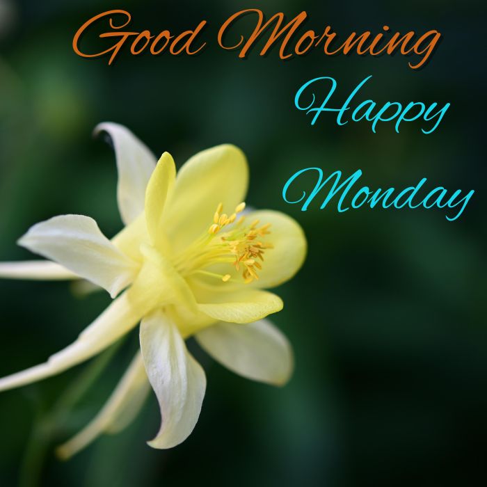 Happy Monday Images