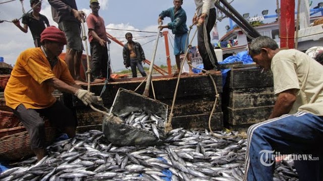 Amerika Ancam Hentikan Impor Ikan Indonesia