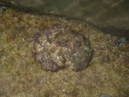 IMGP3053