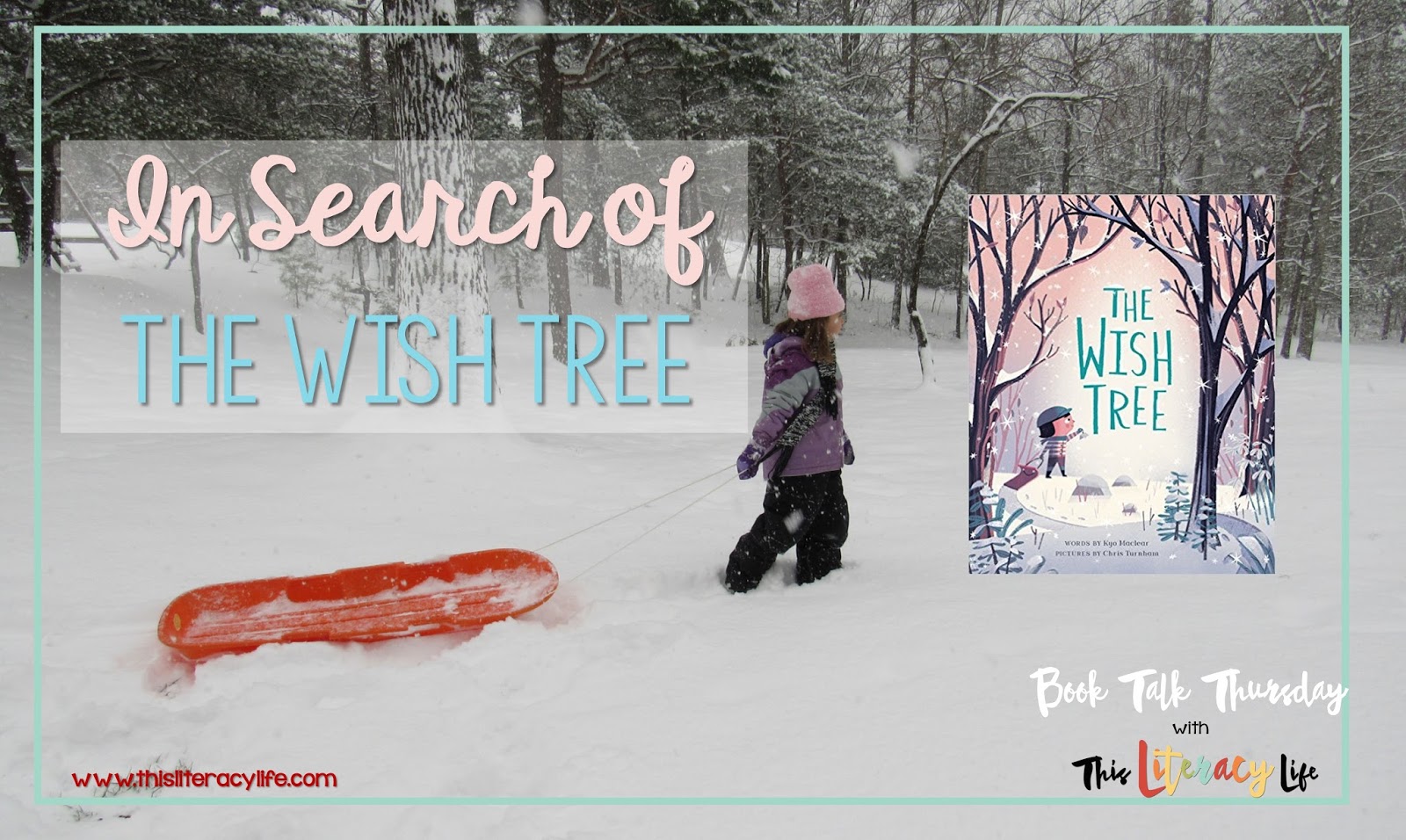 Wouldn't it be great to have a wish tree? The Wish Tree is a fantastic book that shows that everyone has their own wish tree somewhere!