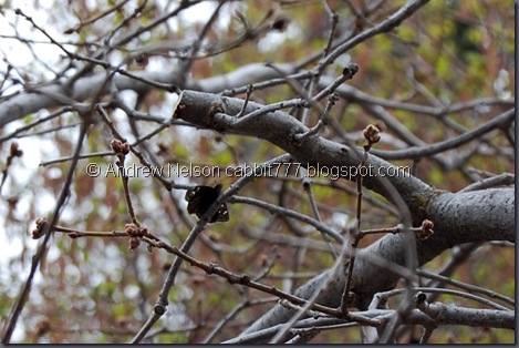 Copy of DSC_0169