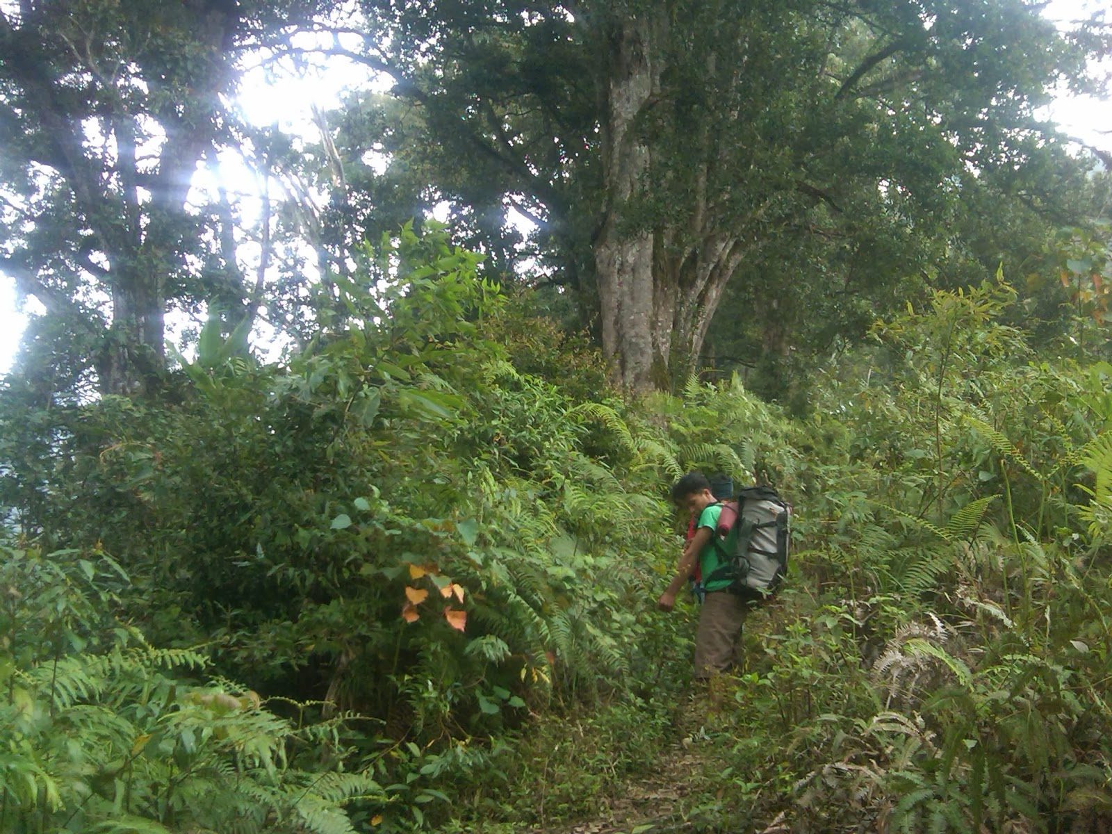  Kacamata  Pendakian Gunung  Prau Via Temanggung