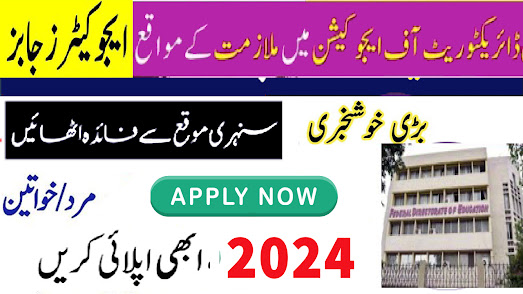 Directorate Of Education Colleges Jobs 2024 Advertisement