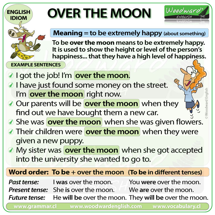 Moon idioms. Идиомы с the Moon. Idioms in English. Over the Moon идиома. Woodward English idioms.