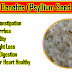 Isabgol ke fayde (benefits of psyllium husk)