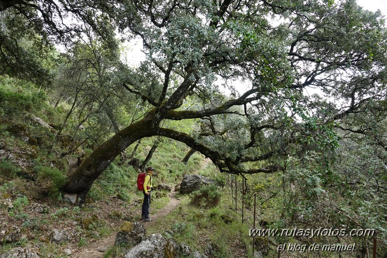 Sendero El Bosque - Benamahoma - Grazalema