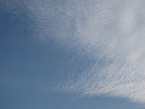 mackerel sky