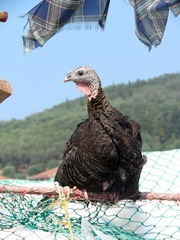 IMG_8840