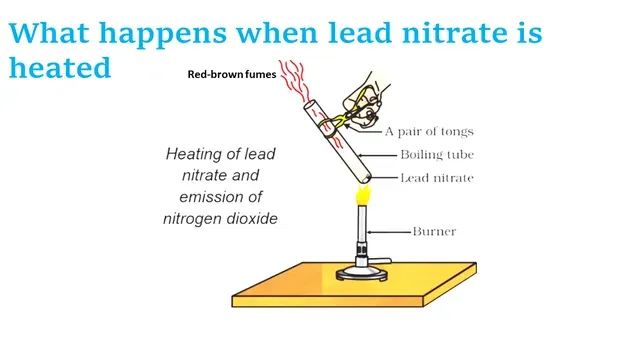 What happens when lead nitrate is heated