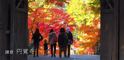 円覚寺の紅葉は見どころたくさん！満足感アリ♪