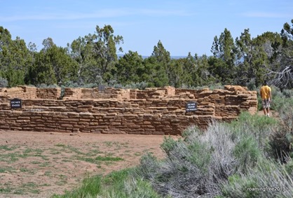 Pipe Shrine House