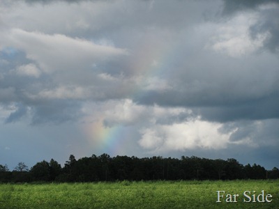 Pot of gold
