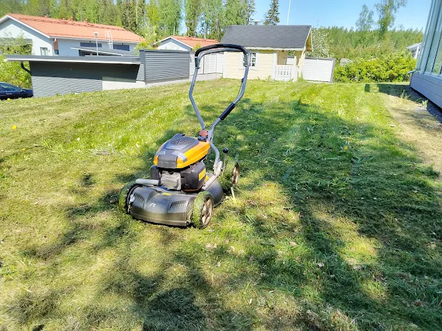 #Ruohonleikkauspalvelu #nurmikonleikkaukset #Tampere #Ylöjärvi #Pirkkala Nokia #pihatyöt #talonmiespalvelu@gmail.com 1.6.2025 kuva31