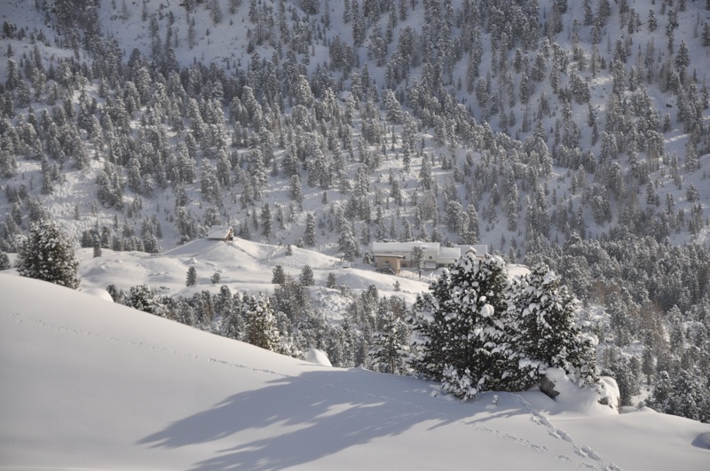 DSC_7565.JPG