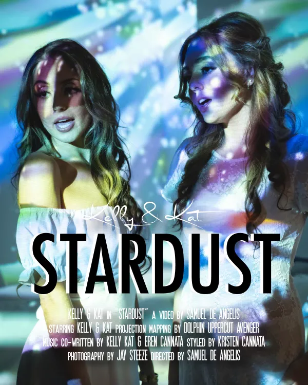 Stardust Video Poster By Kelly & Kat