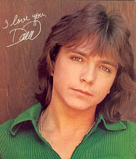Men's Fashion Haircut Styles With Image David Cassidy Hairstyles With Classic Men's Shag Haircuts Picture 5