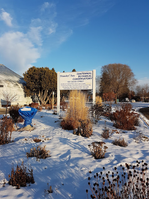 Conservatory in Winter 