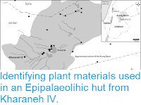 https://sciencythoughts.blogspot.com/2018/08/identifying-plant-materials-used-in.html