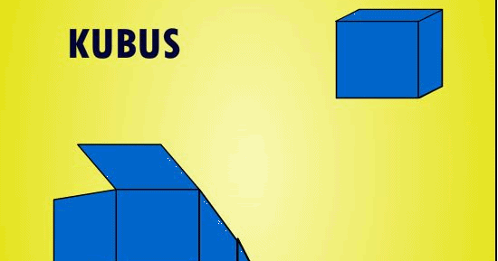 Matematika Luas Permukaan Kubus