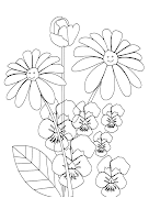 Flores para colorear . Dibujos infantiles, imagenes cristianas