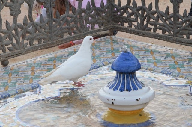 * Plaza America y sus museos ( Sevilla )