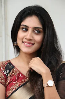 Dhanya Balakrishna Stills at Software Sudheer Success Meet