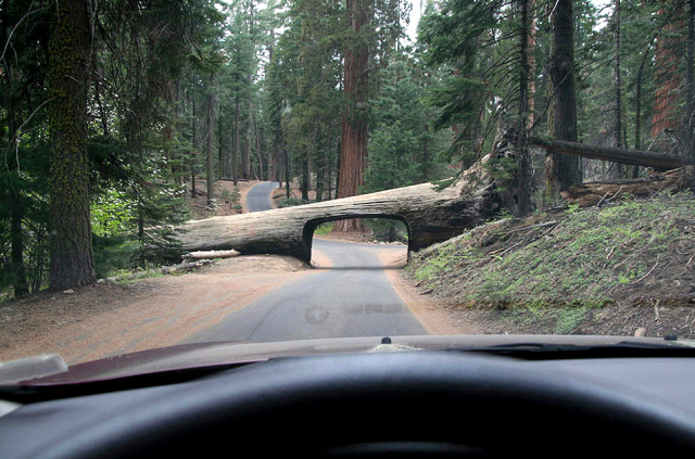 tunnels created by nature