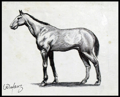 horse