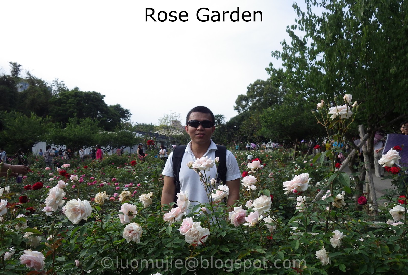 Rose Garden