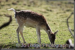IMG_2325