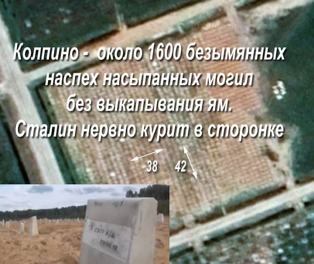 «Лежат отходы кремлевско-имперских войн»: под Петербургом нашли громадное кладбище ихтамнетов.
