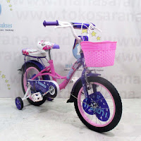 16 rmb paris kids bike