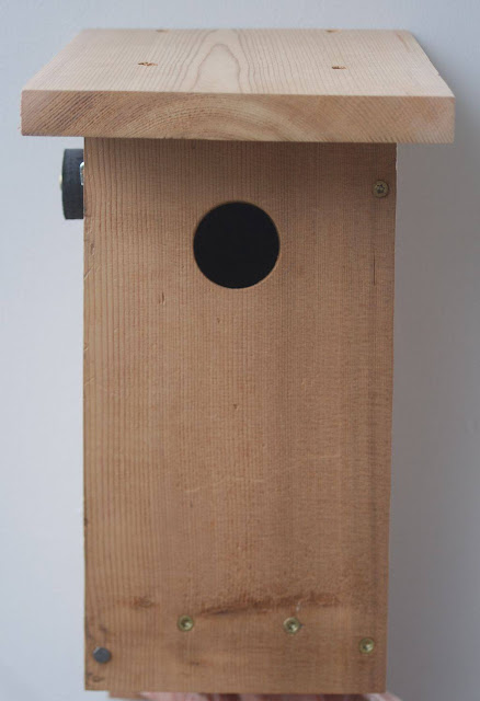Bird Box Design