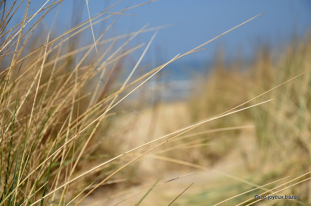 Belgique - Coxyde - plage et soleil