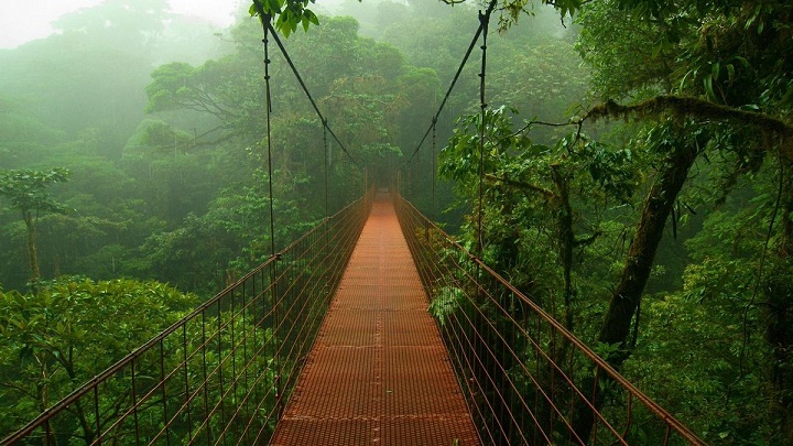 Amazon, Hutan Hujan Terbesar yang Terancam Kerusakan